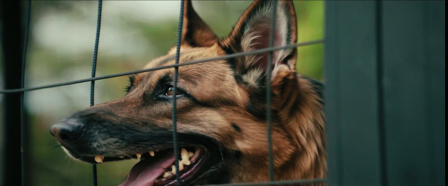 A Breed Apart (2025) NEW - digital blockbuster