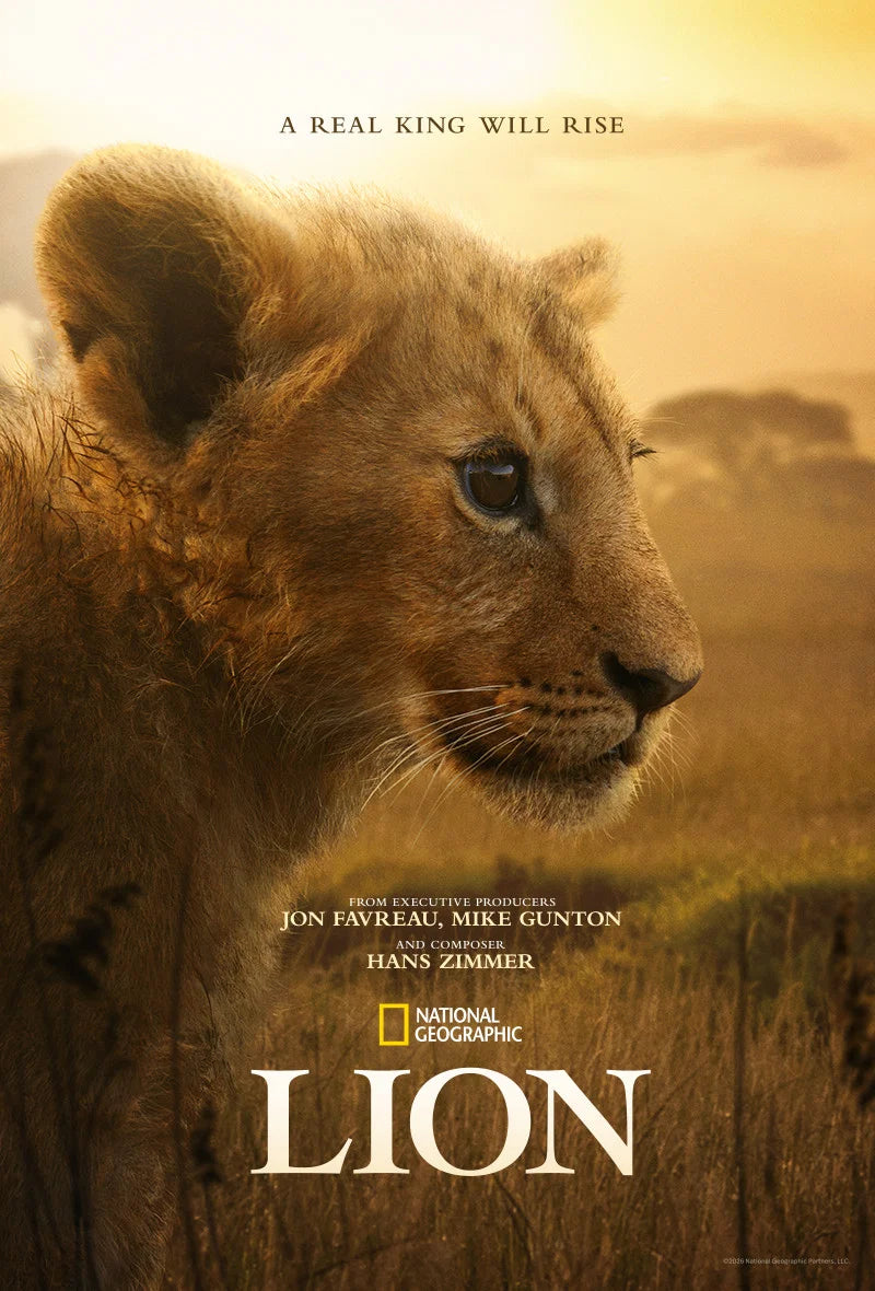 Lion poster