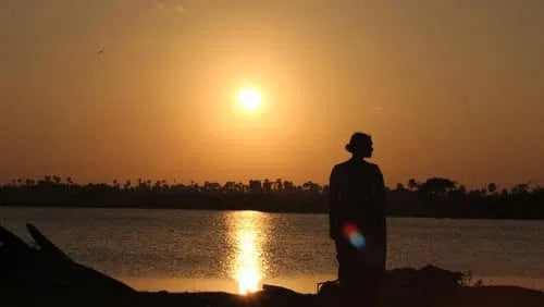 Ray of Hope (2024) NEW SUMMER 50OFF - digital blockbuster