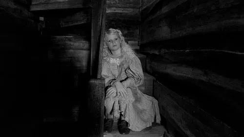 The Girl with the Needle (2024) NEW - digital blockbuster