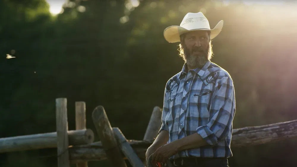 This Is the Tom Green Documentary (2025) NEW - digital blockbuster