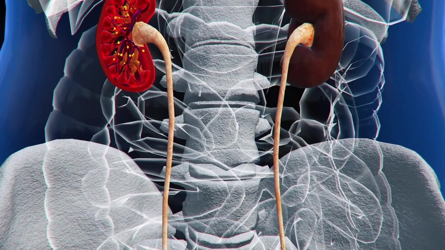 Biohack Yourself: Lifespanning Our Vitality (2024) NEW - digital blockbuster