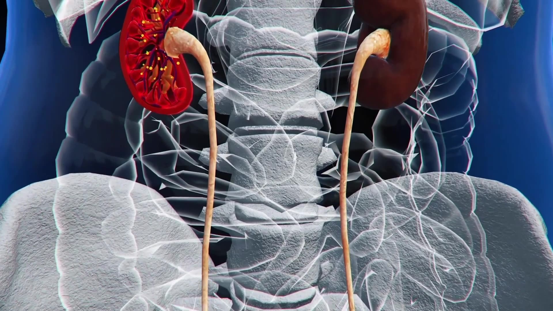 Biohack Yourself: Lifespanning Our Vitality (2024) NEW - digital blockbuster