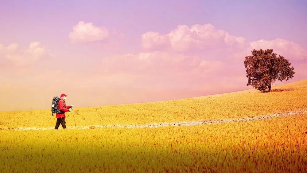 The Way , My Way (2024) NEW