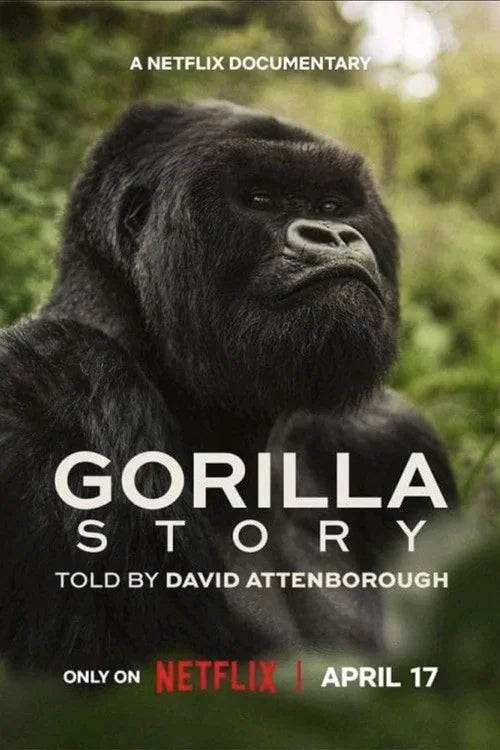 A GORILLA STORY (2026) — Majestic. Cinematic. Essential.