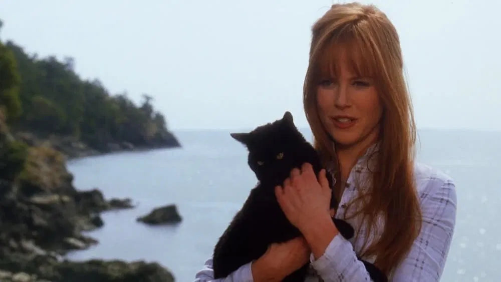 Practical Magic (1998) NEW
