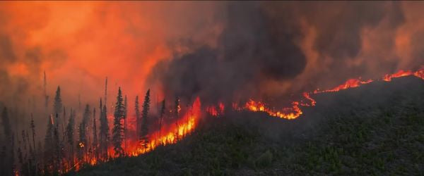 Incandescence (2024) NEW - digital blockbuster