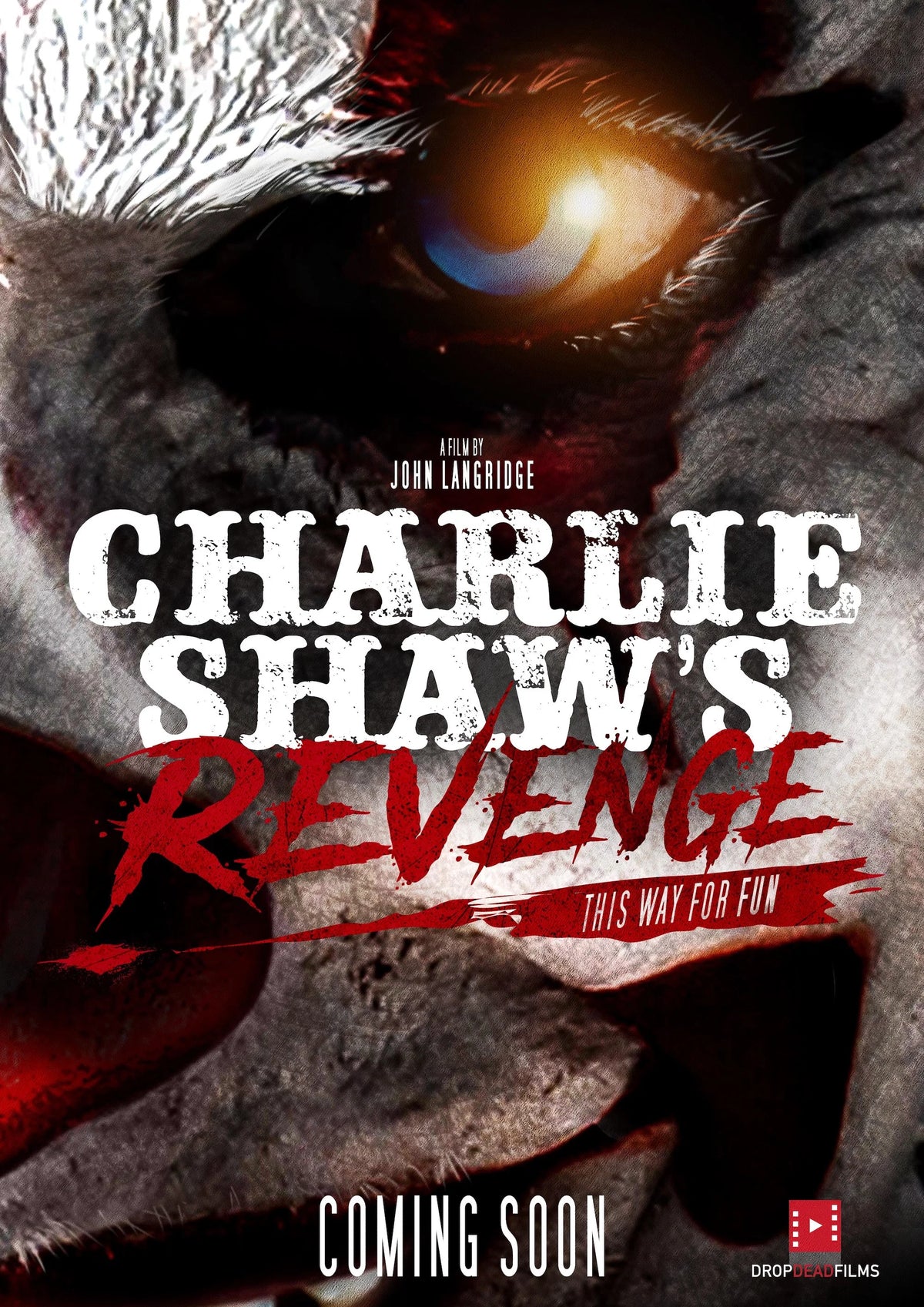 Charlie Shaw's Revenge (2026) movie poster