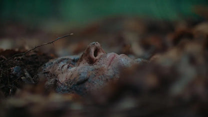 The Woods Are Real (2024) NEW