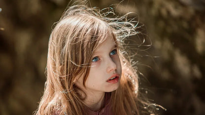 The Wizard of the Emerald City (2025) NEW