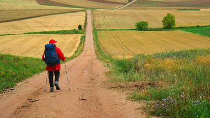 The Way , My Way (2024) NEW