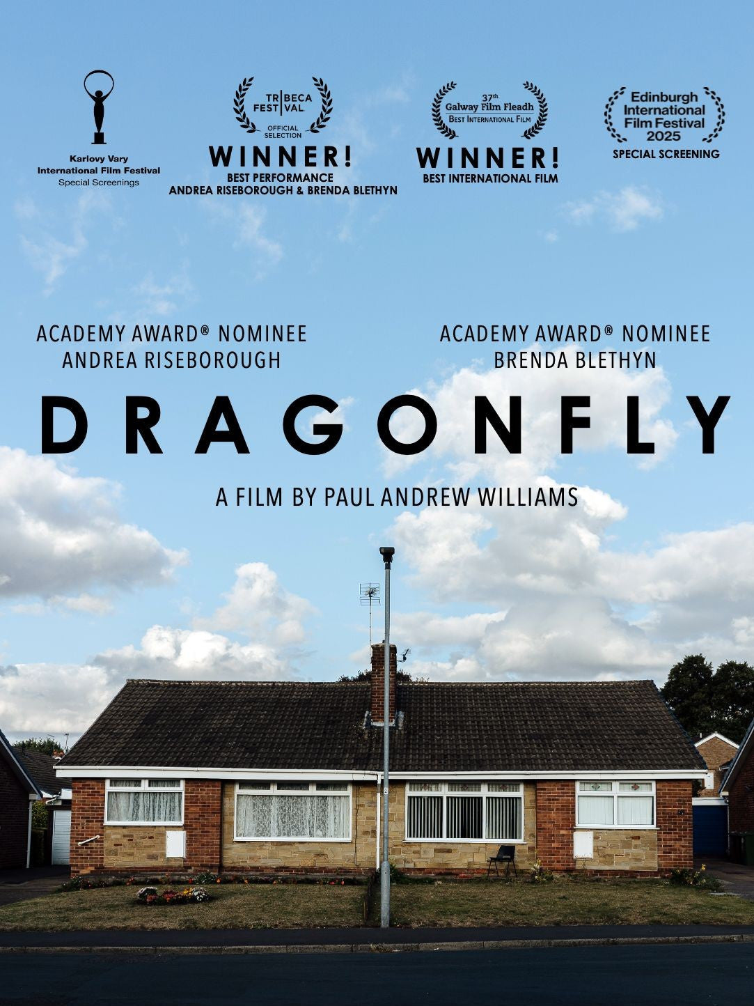 Dragonfly (2025)