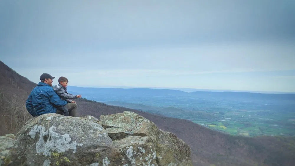 Beyond the Tree Line (2024) NEW