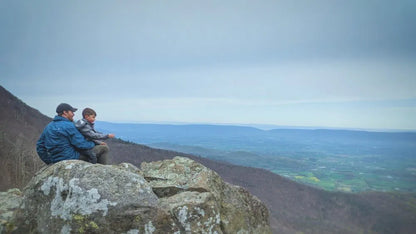 Beyond the Tree Line (2024) NEW