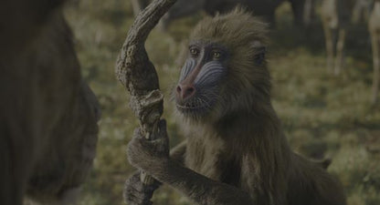 Mufasa: The Lion King (2024) UHD 4K NEW - digital blockbuster
