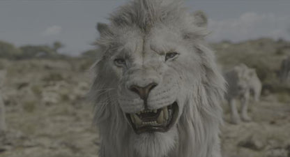 Mufasa: The Lion King (2024) UHD 4K NEW - digital blockbuster
