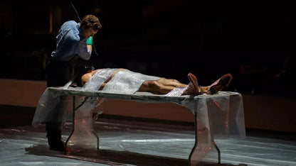 Dexter: Original Sin (2024) TV SERIES - digital blockbuster