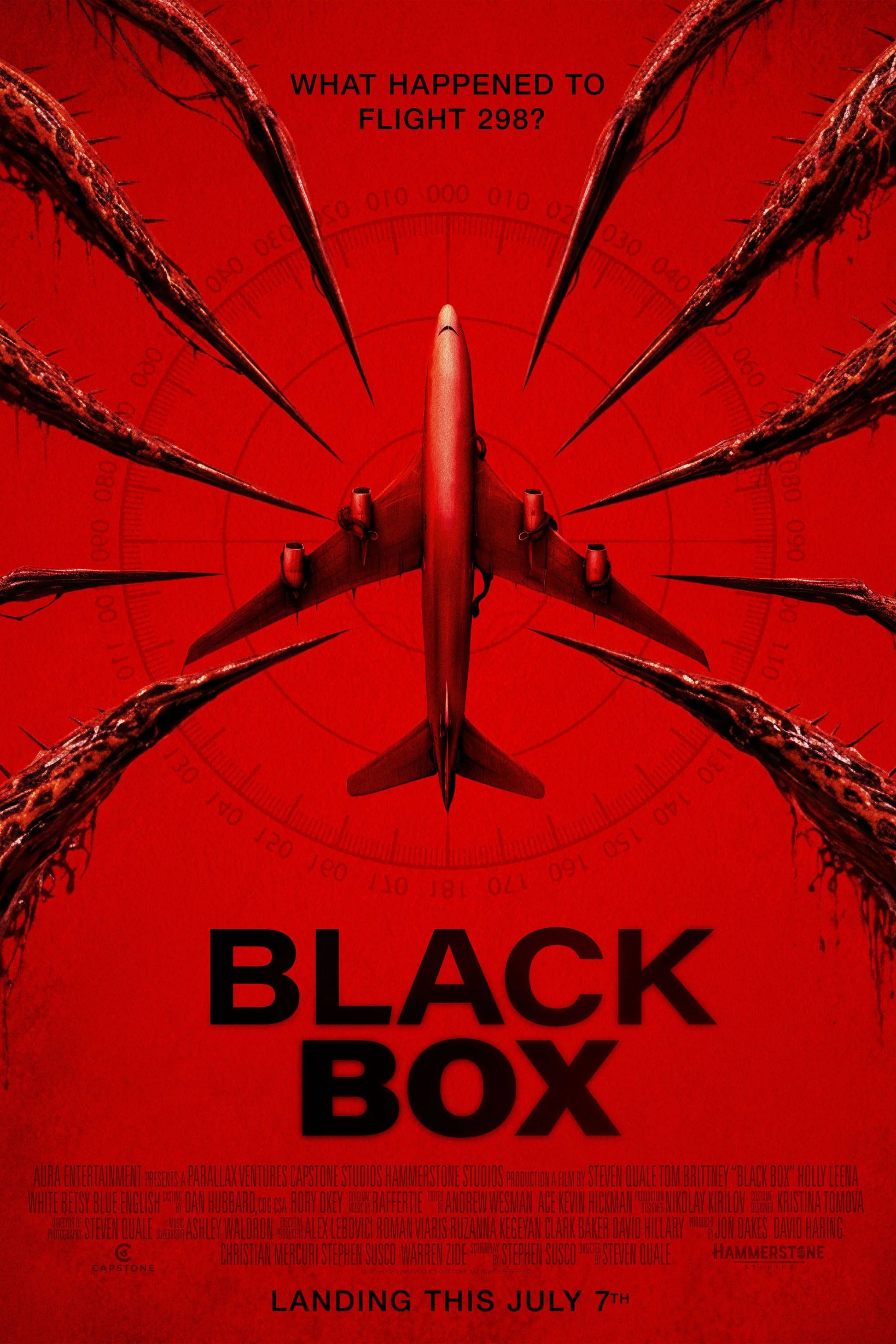 Black Box Flight 298 (2026) poster