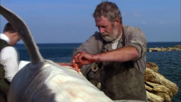 digital blockbuster Blood in the Water (2009) CLASSIC