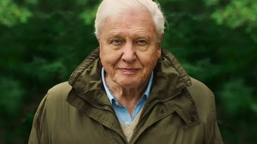 digital blockbuster David Attenborough: A Life on Our Planet (2020) NEW