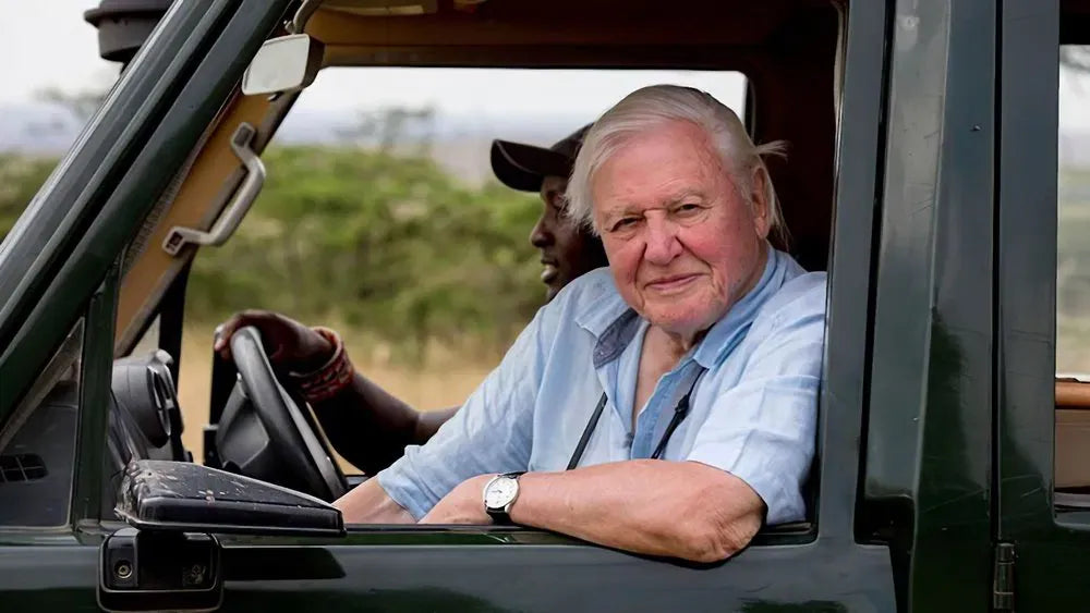 digital blockbuster David Attenborough: A Life on Our Planet (2020) NEW