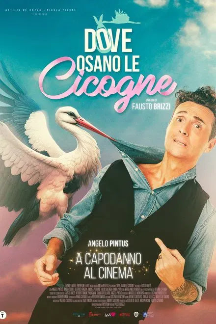 digital blockbuster Dove osano le cicogne (2025) NEW