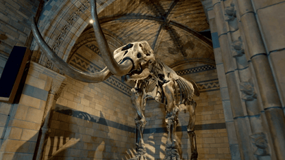 digital blockbuster Fantastic Beasts: A Natural History (2022) CLASSIC