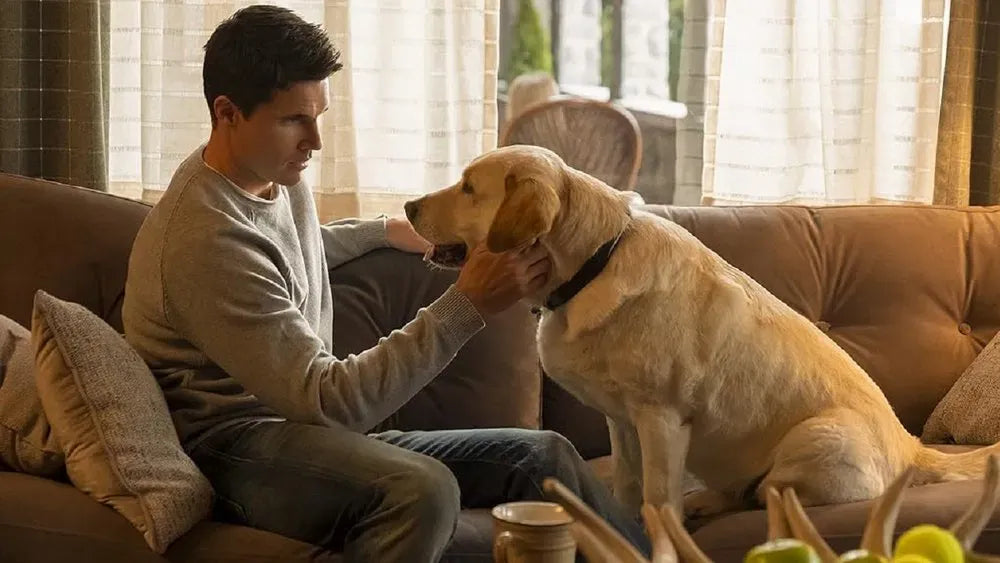 digital blockbuster FULL SEASON Upload (2020) TV SERIES