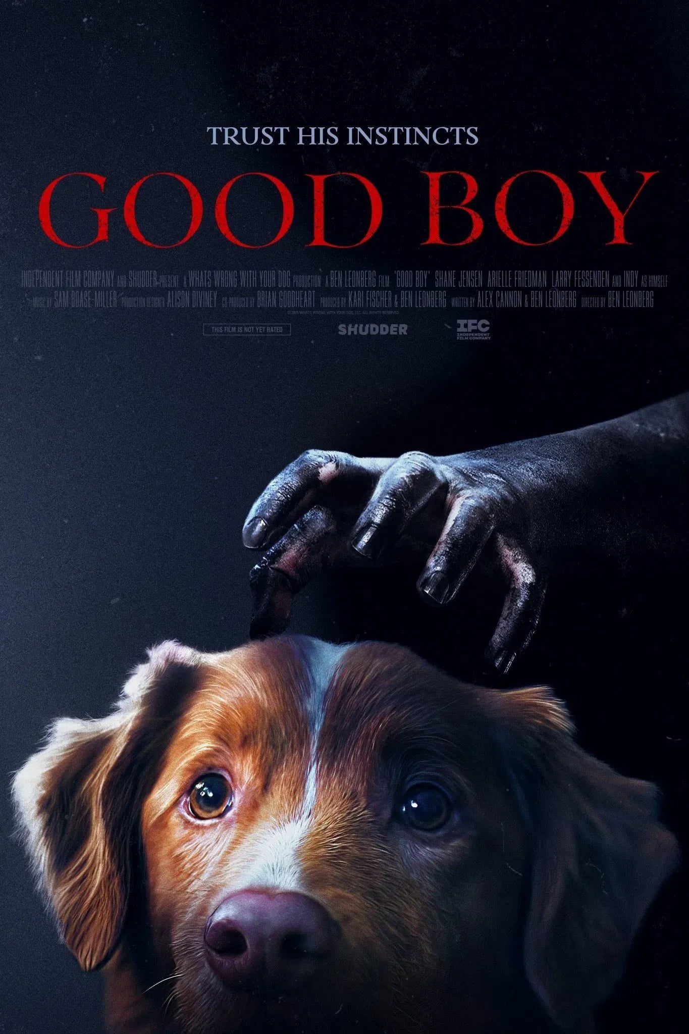 digital blockbuster Good Boy (2025) FULL HD NEW