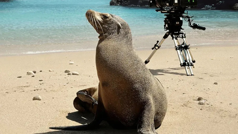 digital blockbuster Guardians of the Galapagos (2025) NEW