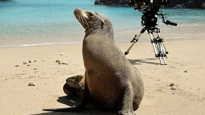 digital blockbuster Guardians of the Galapagos (2025) NEW