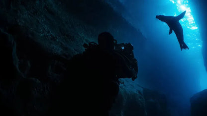 digital blockbuster Guardians of the Galapagos (2025) NEW