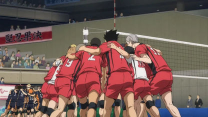 digital blockbuster HAIKYU!! The Dumpster Battle (2024) NEW