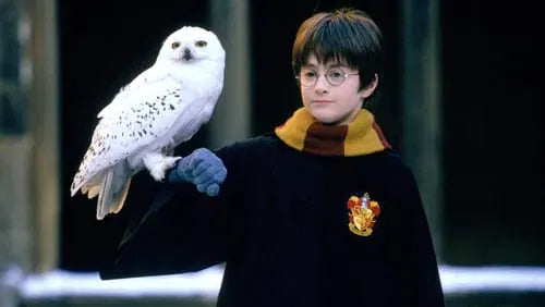 digital blockbuster Harry Potter and the Philosopher's Stone (2001) CLASSIC