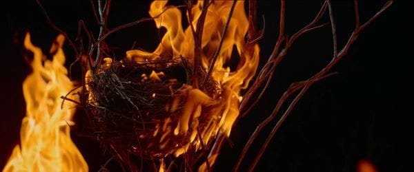digital blockbuster Incandescence (2024) NEW