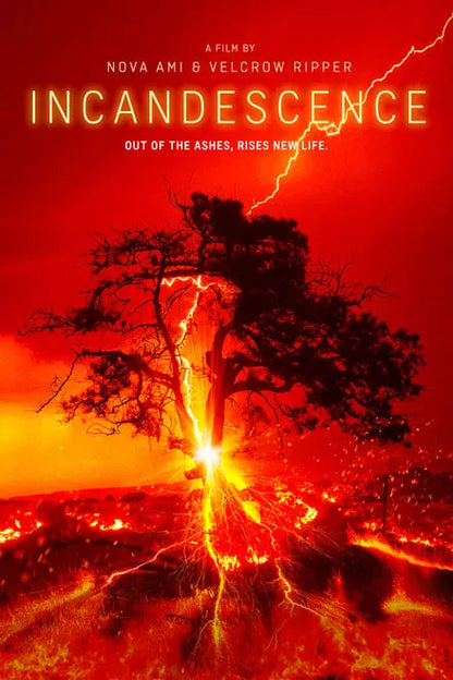 digital blockbuster Incandescence (2024) NEW