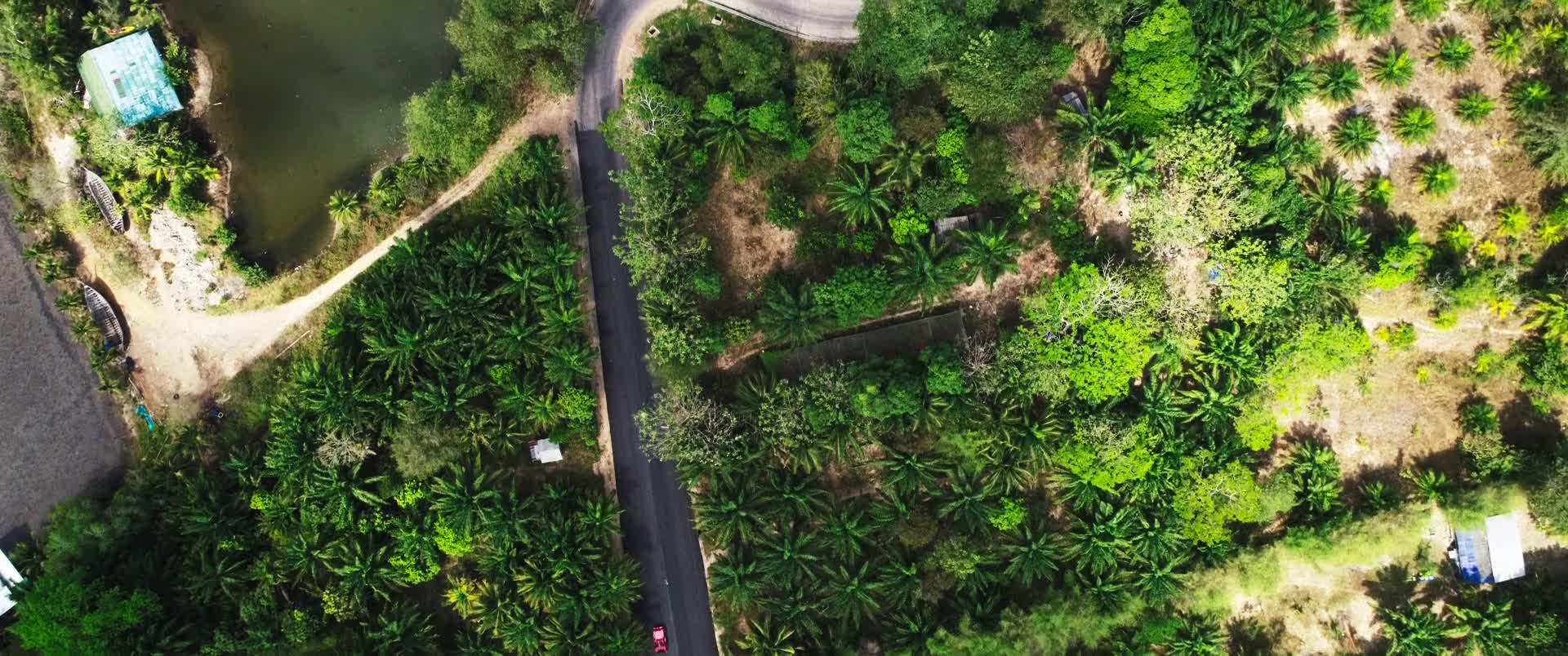 digital blockbuster Into the Deep (2025) NEW SUMMER 50OFF