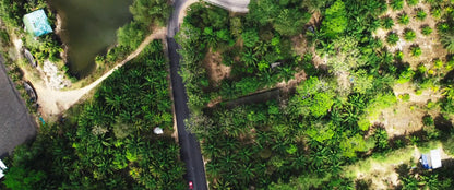 digital blockbuster Into the Deep (2025) NEW SUMMER 50OFF