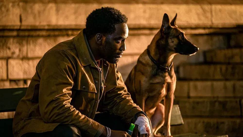 digital blockbuster John Wick: Chapter 4 (2023)