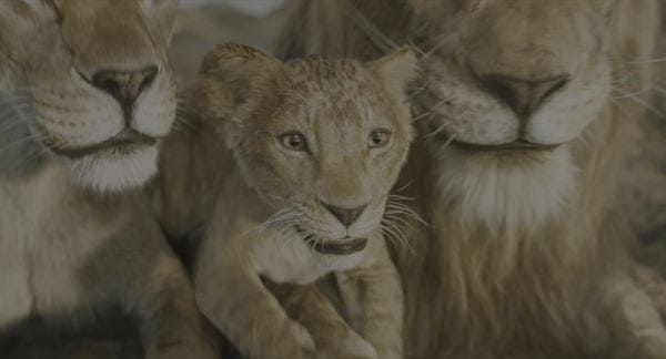 digital blockbuster Mufasa: The Lion King (2024) UHD 4K NEW