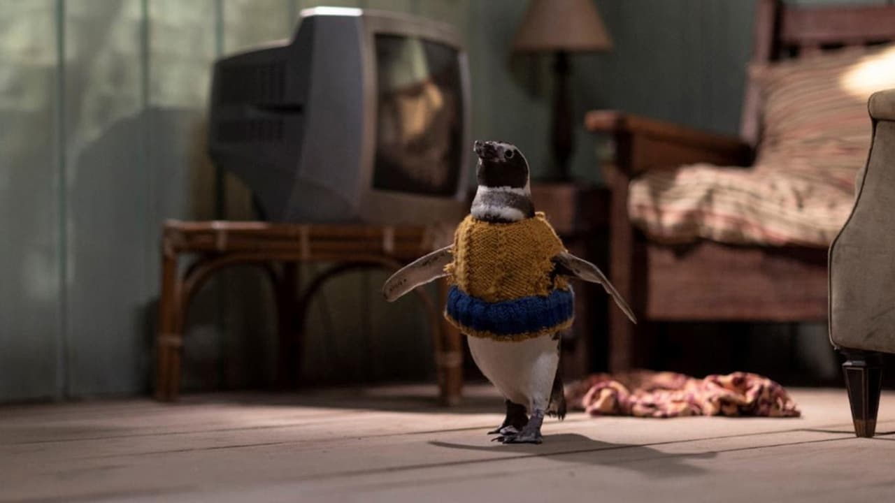 digital blockbuster My Penguin Friend (2024) NEW