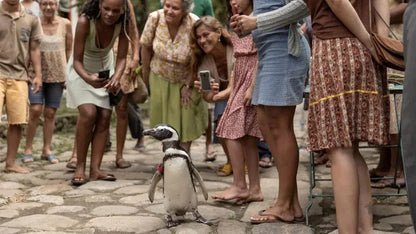 digital blockbuster My Penguin Friend (2024) NEW