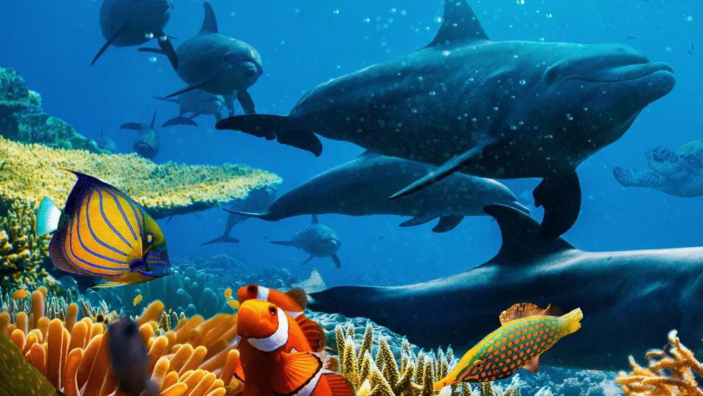digital blockbuster Ocean with David Attenborough (2025) NEW