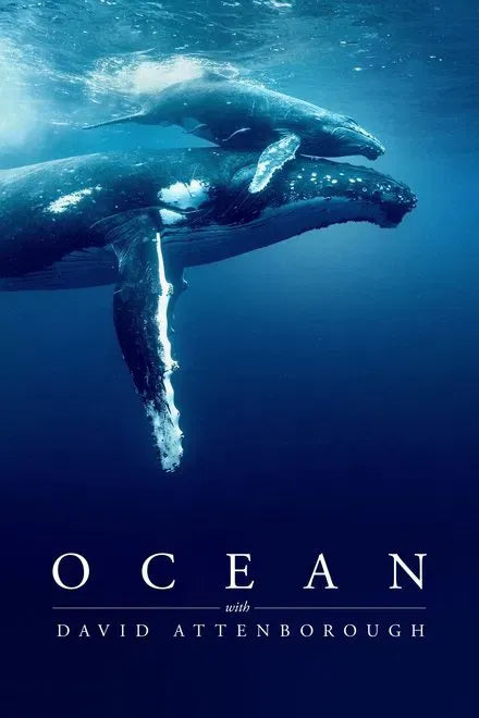 digital blockbuster Ocean with David Attenborough (2025) NEW