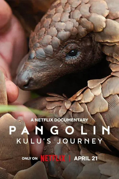 digital blockbuster Pangolin: Kulu's Journey (2025) NEW