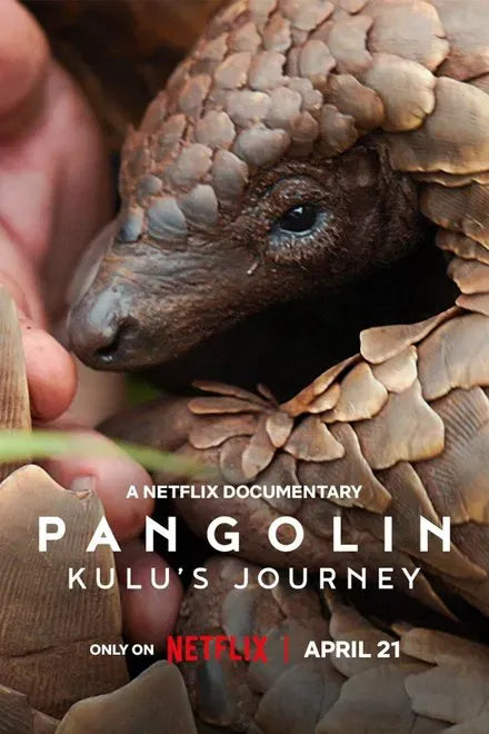 digital blockbuster Pangolin: Kulu's Journey (2025) NEW