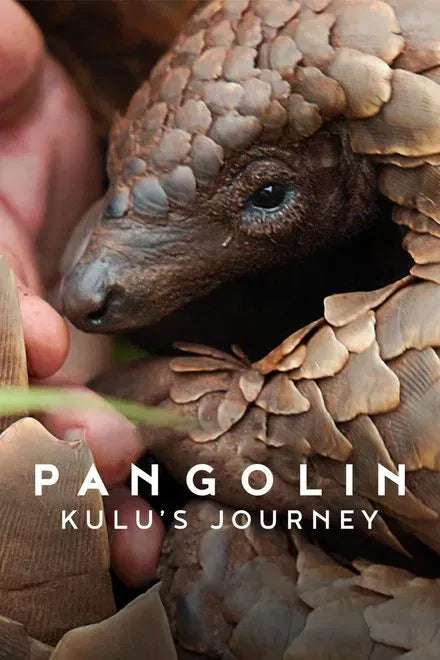 digital blockbuster Pangolin: Kulu's Journey (2025) UHD 4K NEW