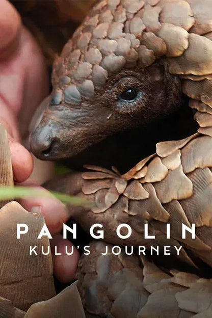digital blockbuster Pangolin: Kulu's Journey (2025) UHD 4K NEW