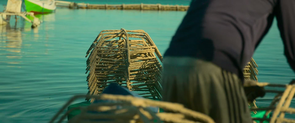 digital blockbuster Reef Builders (2025) NEW SUMMER 50OFF