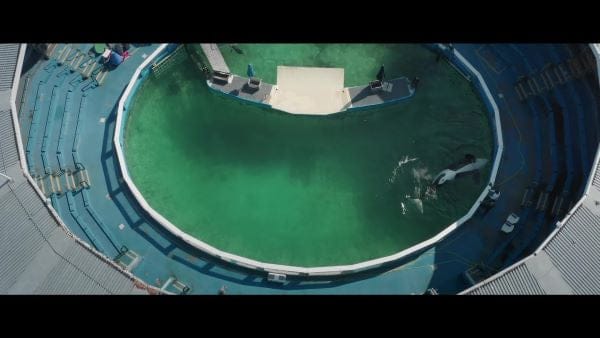 digital blockbuster Resident Orca (2024) NEW SUMMER 50OFF